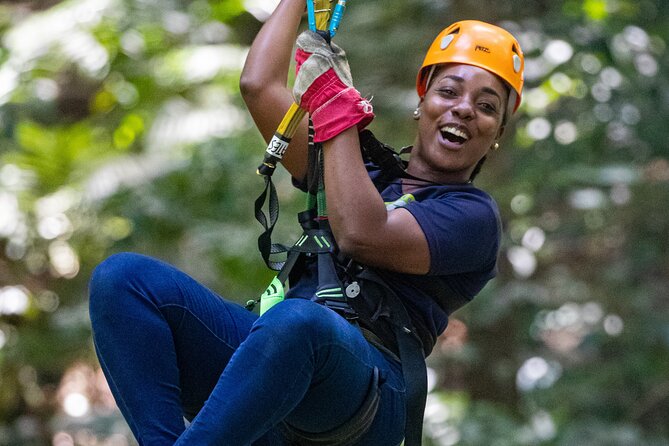 St Lucia Ultimate 3: Aerial Tram, Zipline and Hiking at Rainforest Adventures - The aerial tram gives you the rainforest at its own speed