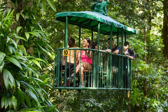 St Lucia Ultimate 3: Aerial Tram, Zipline and Hiking at Rainforest Adventures - A short walk that is more than a transfer