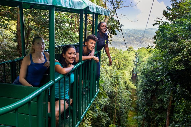 St Lucia Ultimate 3: Aerial Tram, Zipline and Hiking at Rainforest Adventures - Eight zip lines across 16 rainforest platforms