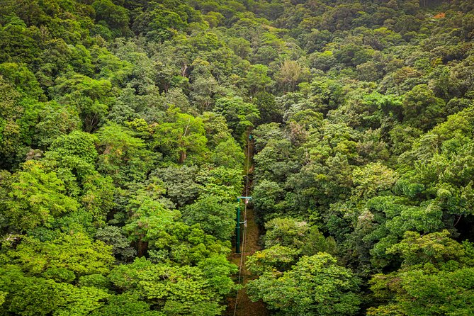 St Lucia Ultimate 3: Aerial Tram, Zipline and Hiking at Rainforest Adventures - Returning through the forest to the lower station