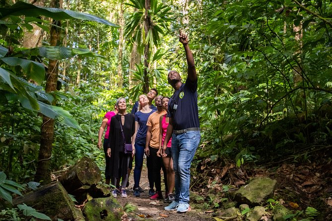 St Lucia Ultimate 3: Aerial Tram, Zipline and Hiking at Rainforest Adventures - Refreshments, photos, and the end of the visit