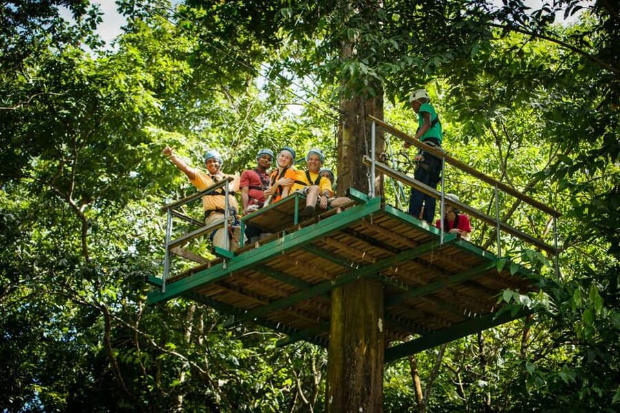 St Lucia Ultimate 3 Package: Aerial Tram Zip Line & Hiking - The canopy zip line course