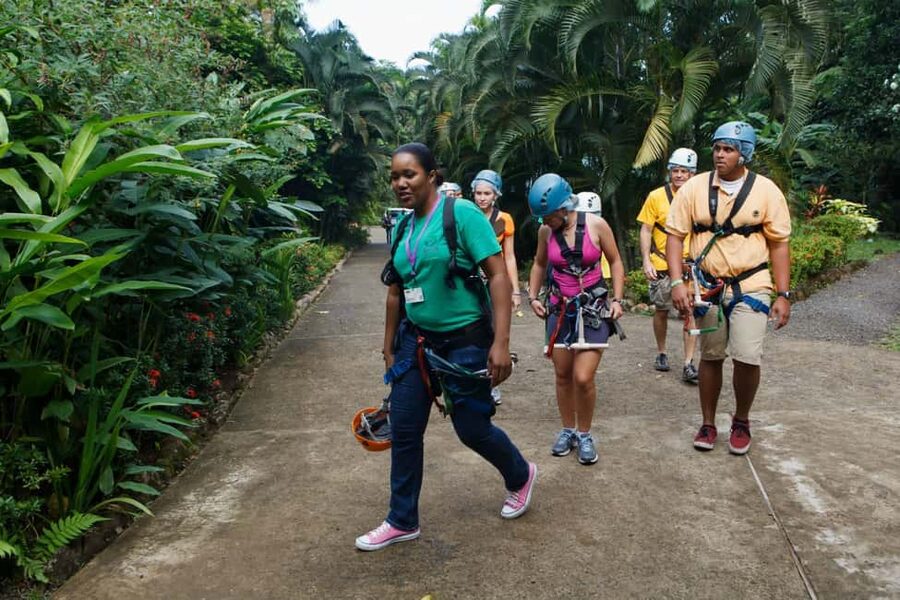St Lucia Ultimate 3 Package: Aerial Tram Zip Line & Hiking - The short hike beneath the canopy