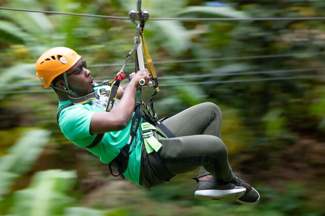 St. Lucia Zip line, Aerial Tram and Hiking tour Ultimate 3 - Three ways to see the St. Lucia rainforest