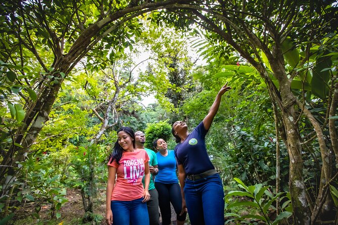 St. Lucia Zip line, Aerial Tram and Hiking tour Ultimate 3 - The tram ride down brings the wide views back
