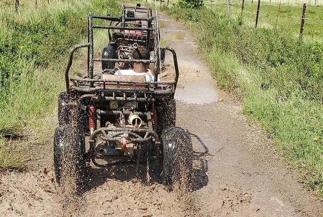 St. Mary's Mud Buggy Experience - Price, pickup, and overall value