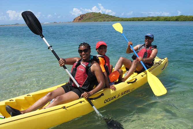 St Thomas Mangrove Lagoon Kayak and Snorkel Tour in the US Virgin Islands - Cas Cay, hermit crabs, and the land between