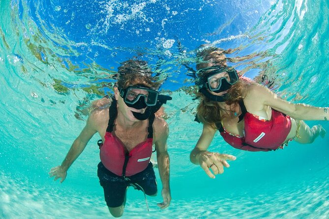 St Thomas Mangrove Lagoon Kayak and Snorkel Tour in the US Virgin Islands - The guides shape the day