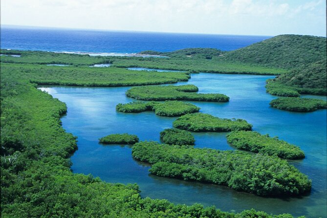 St Thomas Mangrove Lagoon Kayak and Snorkel Tour in the US Virgin Islands - Is $89 a fair price?
