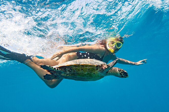 St Thomas Mangrove Lagoon Kayak and Snorkel Tour in the US Virgin Islands - Who will enjoy this tour most?