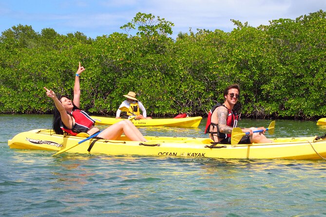 St Thomas Mangrove Lagoon Kayak and Snorkel Tour in the US Virgin Islands - Following the channels toward Patricia Cay