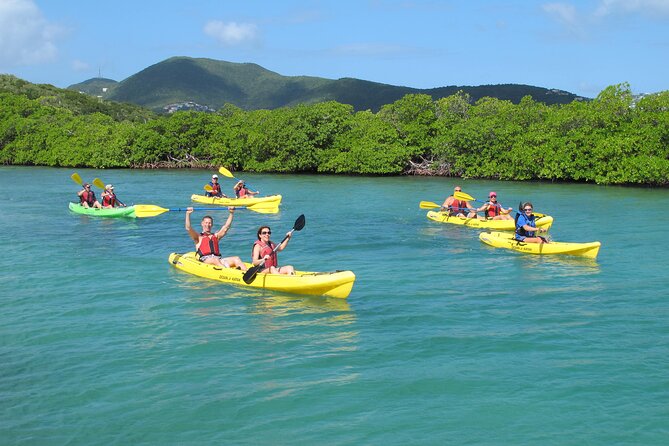 St Thomas Shore Excursion: Mangrove Lagoon Kayak and Snorkel Tour - Key details before you book