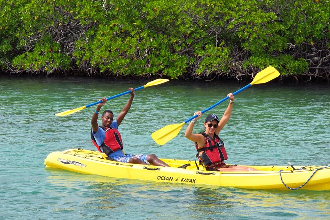 St Thomas Shore Excursion: Mangrove Lagoon Kayak and Snorkel Tour - Timing, fitness, and what to pack