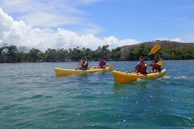 St Thomas Shore Excursion: Mangrove Lagoon Kayak and Snorkel Tour - Transportation is the main weak spot