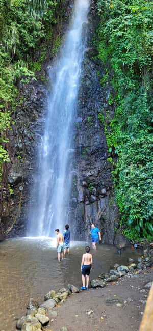 St. Vincent: Leeward Island Tour with Dark View Falls - The Botanical Gardens, a calm change of pace
