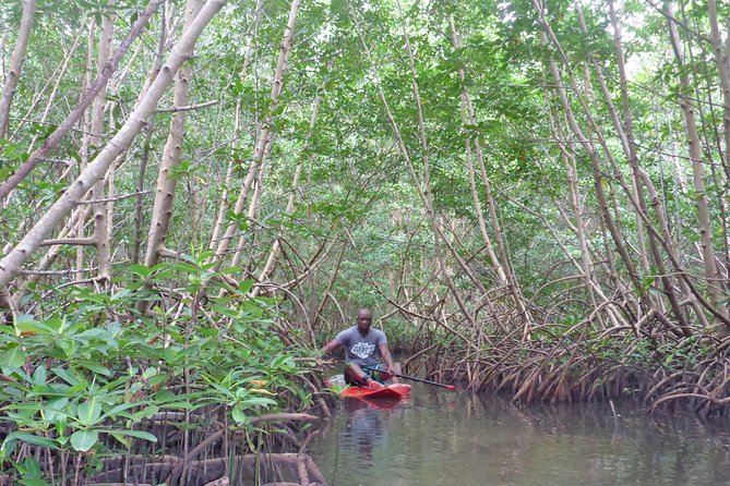 Stand up paddle in paradise - Key points to know before booking