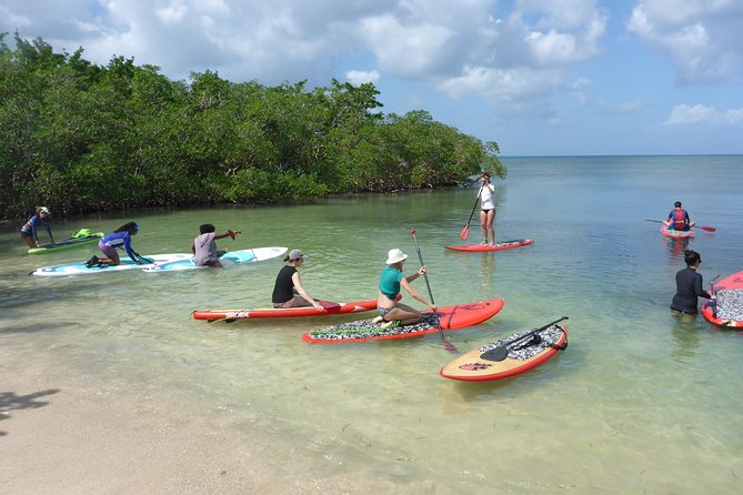 Stand up paddle in paradise - A lemonade break in a small cove
