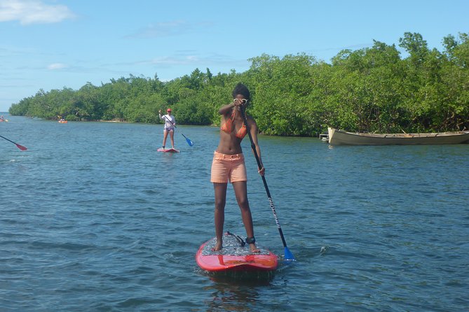 Stand up paddle in paradise - What the $59.67 price includes