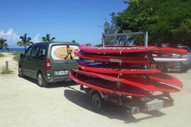 Stand up paddle in paradise - Who will enjoy this morning most
