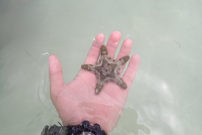 Starfish Point, Stingray City & Coral Garden (3-STOP Adventure) - The crew makes the difference