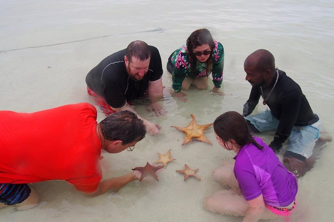 Starfish Point, Stingray City & Coral Garden (3-STOP Adventure) - Who should book this three-stop tour?