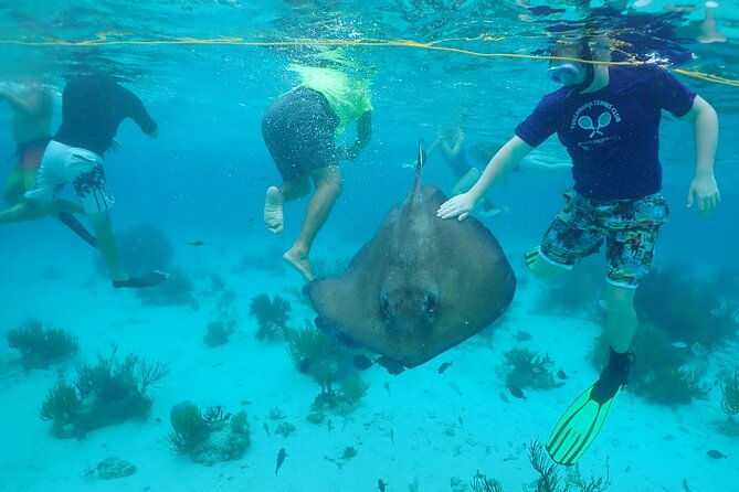 Starfish Point, Stingray City & Coral Garden (3-STOP Adventure) - Starfish Point is the gentle final stop