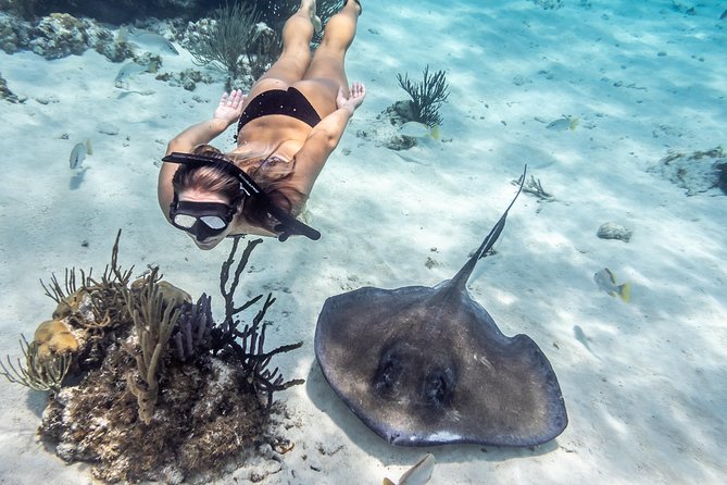 Starfish Point, Stingray City-Sandbar & Coral Gardens - Who should book this Grand Cayman tour