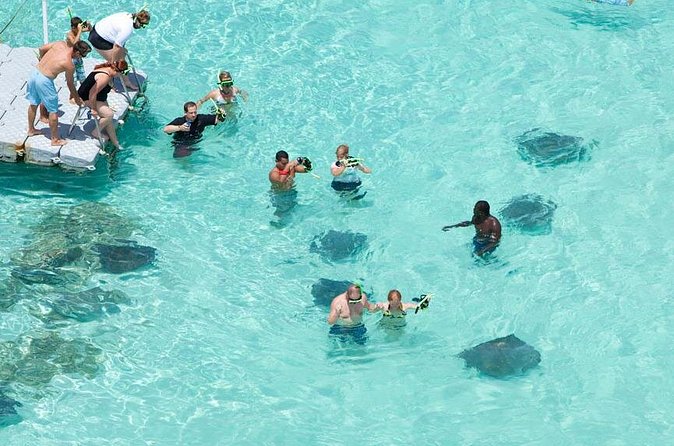 Stingray City - How long the outing really takes