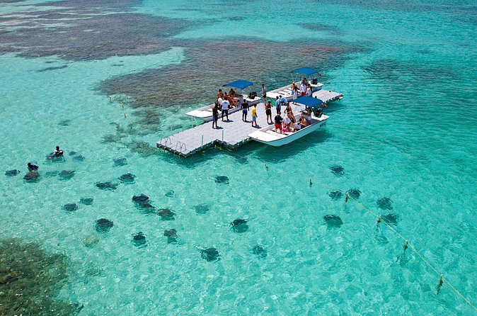 Stingray City - Who will enjoy this experience most