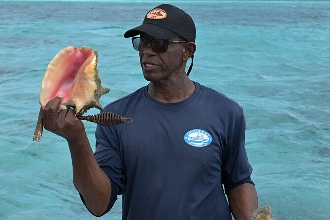 Stingray City and Snorkel Tour With Lunch - Who will enjoy this tour most