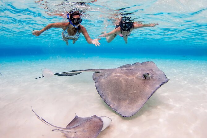 Stingray City and Starfish Experience with Coral Reef Snorkeling - How much value do you get for $65?
