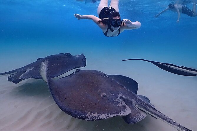 Stingray City and Starfish Experience with Coral Reef Snorkeling - Who will enjoy this tour most?