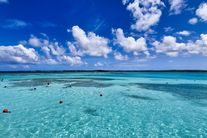 Stingray City Experience Antigua - Cruise Ship Passengers Edition - How busy is the sandbar?