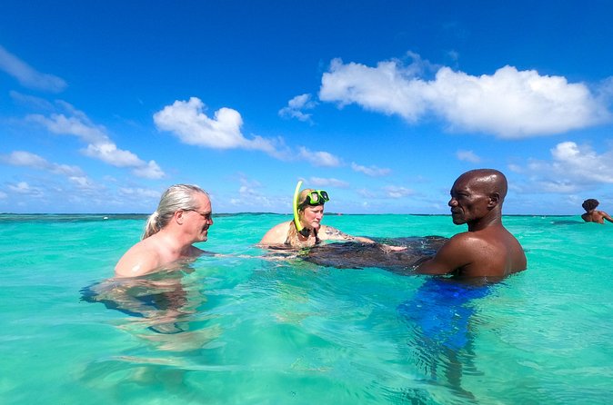 Stingray City Experience Antigua - Cruise Ship Passengers Edition - Timing that works for cruise passengers
