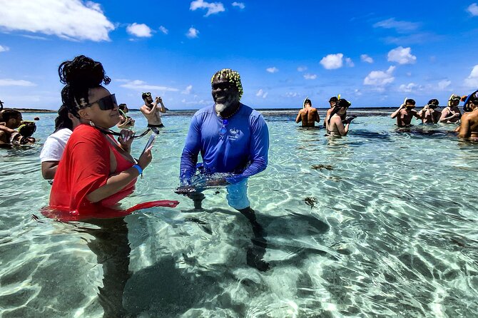 Stingray City Experience Antigua - Cruise Ship Passengers Edition - Who will enjoy this most?