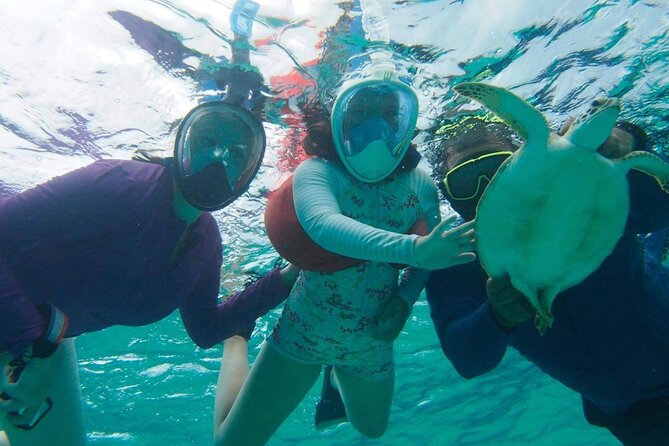 Stingray City Experience Plus One Snorkeling Stop - Tips for getting the best version of the experience