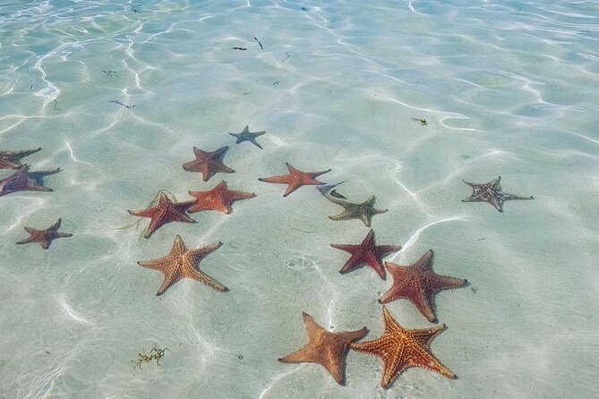 Stingray City Experience Plus Two Snorkeling spots Private Boat - The captains make the difference