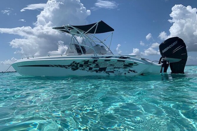 Stingray City Experience Plus Two Snorkeling spots Private Boat - Stingray City, the main event