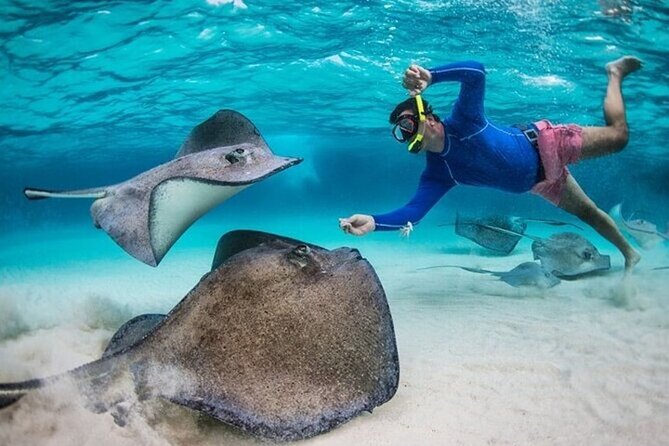 Stingray City Sandbar, Coral Gardens Snorkeling & Star Fish Point - Why Stingray City makes this tour worth considering