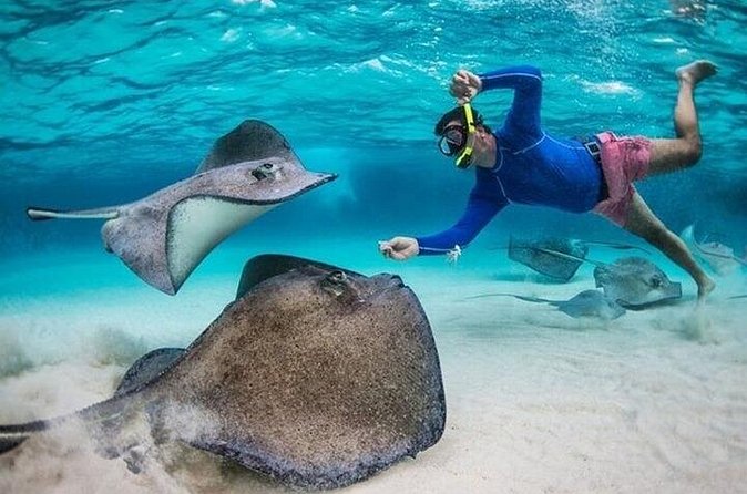 Stingray City Sandbar, Coral Gardens Snorkeling & Star Fish Point - How the boat day fits together