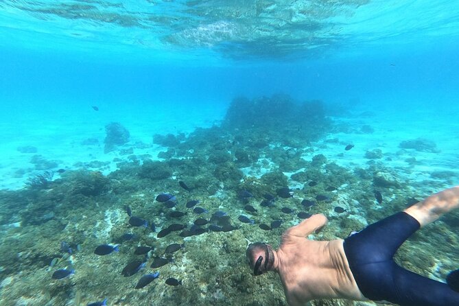 Stingray City, Star fish Point and Snorkeling Private Boat Tour - Guides who make the difference