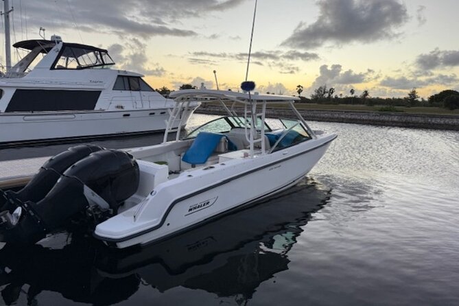 Stingray City, Star fish Point and Snorkeling Private Boat Tour - Boat comfort, weather, and timing