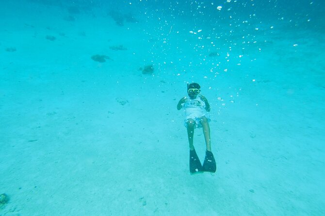 StingrayCity ,Coral Garden & Starfish Tour. - Who will enjoy this tour most