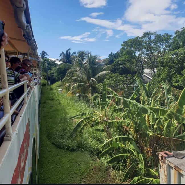 Sugar Train Tour & Drinks|Pick-Up &Drop Off From Cruise Port - Key points to know before booking