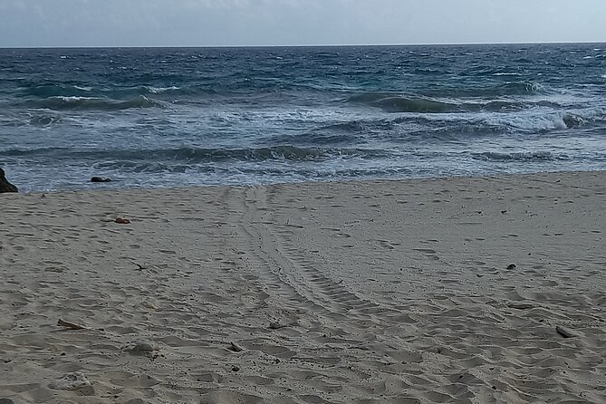 Sunrise Hike & Swim in Natural Pool: Escape the Crowds and Heat - How hard is the hike?
