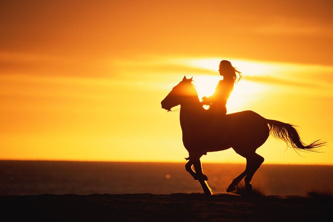 Sunset Beach Horseback Riding - Dinner by lantern light and a beach bonfire