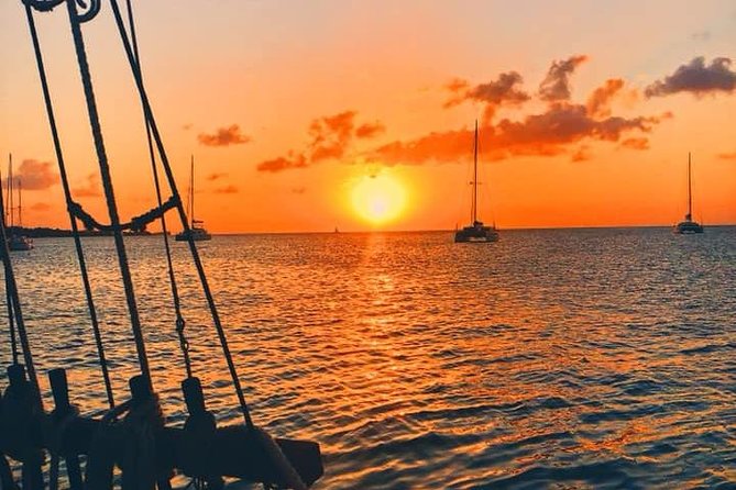 Sunset & Champagne Cruise on a Classic Schooner with boat dogs - A sunset sail with four very social shipmates