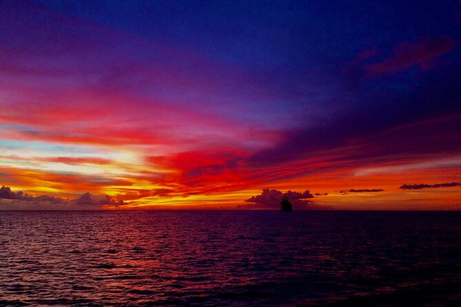 Sunset & Champagne Cruise on a Classic Schooner with boat dogs - Food that can feel like a light meal