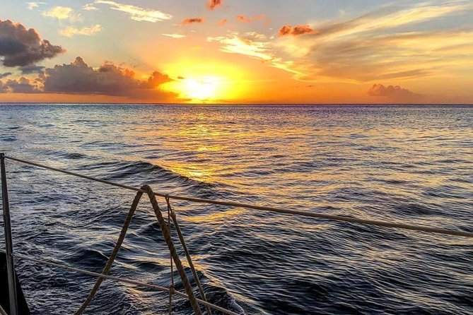Sunset & Champagne Cruise on a Classic Schooner with boat dogs - The boat dogs change the character of the evening