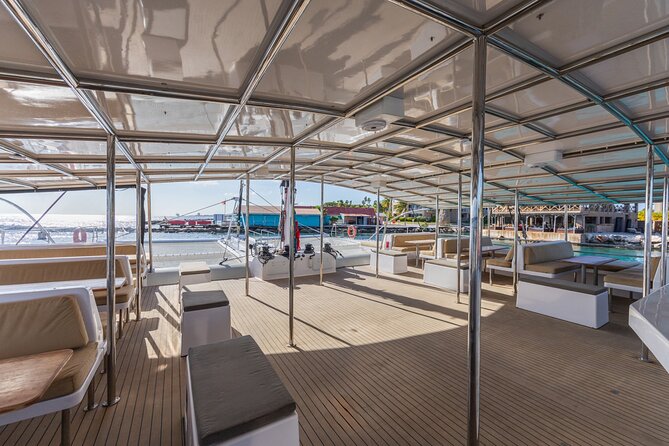 Sunset Sailing Cruise with premium drinks and bites - What the $82 Price Buys You
